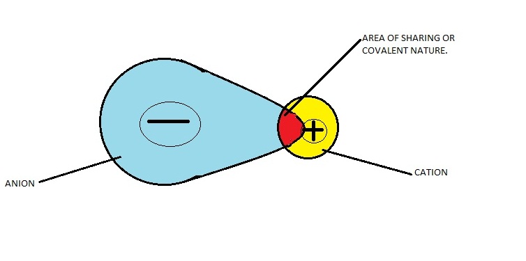 what-is-polarization